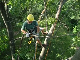 307255-fathersdayclimb2011017(Small).webp