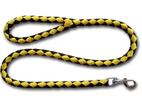 311198-Braided-Dog-Leash.webp