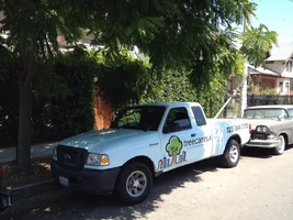 335422-treecarelatruck.webp