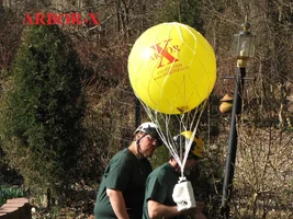 335961-arbor-xballooncamSMALL.webp