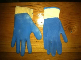 339420-Gloves.webp