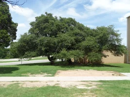 SAM_0871Copying 1.webp