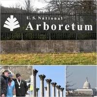 2014 MAC ISA TCC.webp