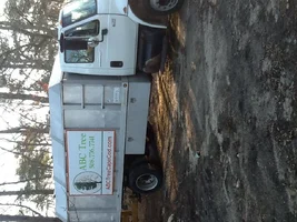 image.webp image.webp