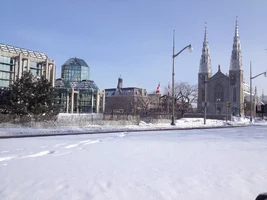 IMG_1532.webp IMG_1532.webp