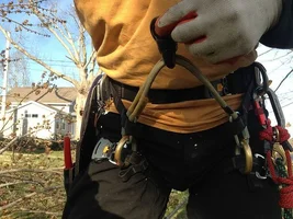 Sequoia Mod Full Bridge Assembly 2.webp