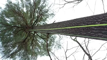 20140501_195612 (Medium).webp