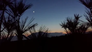 20140501_202239 (Medium).webp