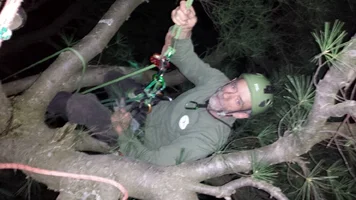 20140501_202529 (Medium).webp