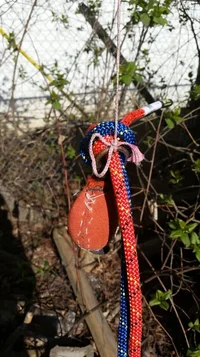 2014-05-02 09.36.38.webp