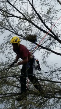 2014-05-03 09.13.07.webp