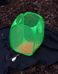 postCheapCube (Small).webp