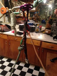 snake tail set up.webp