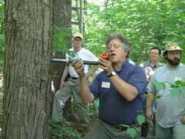 P6240315 - Copy.webp P6240315 - Copy.webp