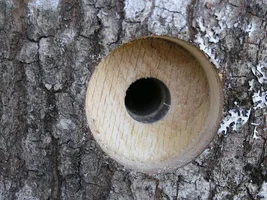 Picture 592 - Copy.webp Picture 592 - Copy.webp