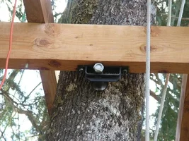 Picture 591 - Copy.webp Picture 591 - Copy.webp