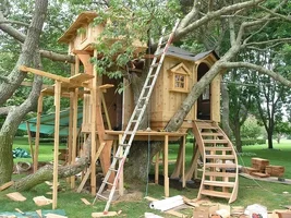 Copy (2) of P7140397.webp Copy (2) of P7140397.webp