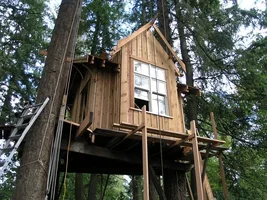 Picture 583 - Copy.webp Picture 583 - Copy.webp