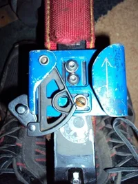 DSC00098 (480x640).webp