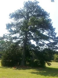 2014-06-18 11.03.03 - Copy.webp