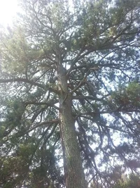 2014-06-18 11.04.06 - Copy.webp