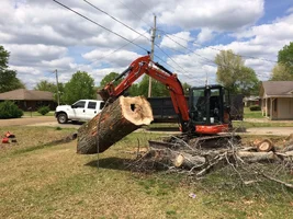 Ex Lifting Wood.webp