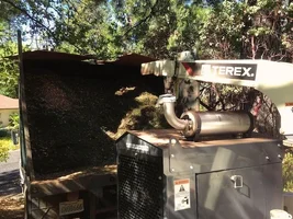 Terex Pic Packing Chips.webp