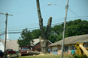 2014-08-07  #18 - Version 4.webp