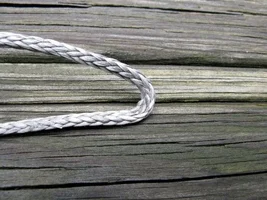 IMG_4709 (Small).webp