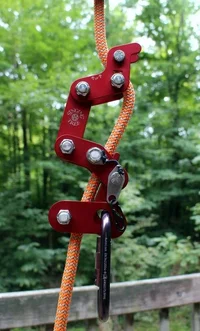 IMG_0445cropped (Small).webp