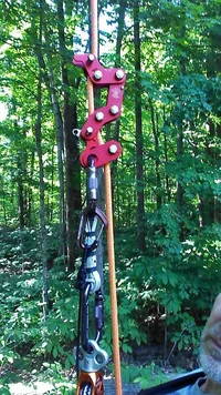 IMG_20140907_164826_857 copy (Small).webp