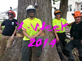 x week 2014.webp