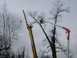 734648_485738688150877_1034924542_n.webp 734648_485738688150877_1034924542_n.webp