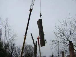 11403_485794581478621_831926953_n.webp 11403_485794581478621_831926953_n.webp