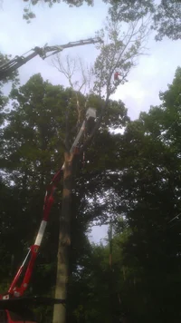 2014-07-10 17.33.24.webp