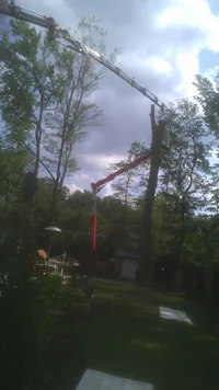 2014-07-23 15.55.42.webp