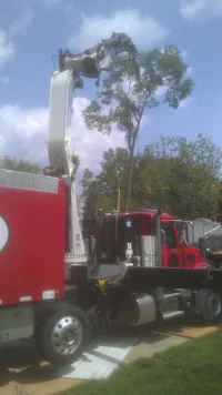 2014-07-31 11.44.47.webp