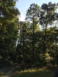 monolith habitat white oak.webp