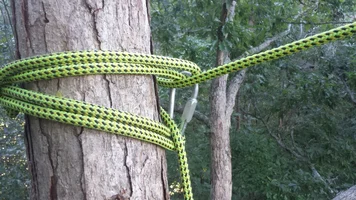 CanopyAnchorConversionBunnyEars (4) (Large).webp