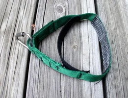 IMG_0522-001 (Small).webp