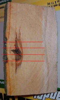 43313-spike3 w-cut lines.webp