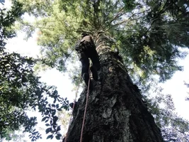 DSC04037 - Copy.webp