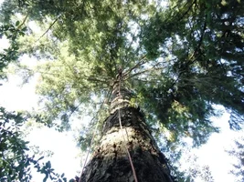 DSC04044 - Copy.webp