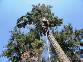 DSC04008 - Copy.webp