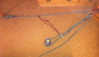 Retrievable ponytail CR.webp