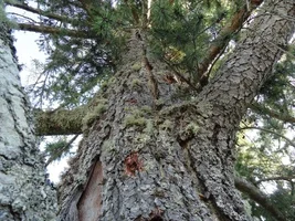 DSC04052 - Copy.webp