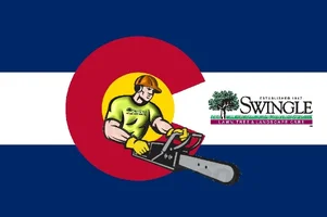 Climber C Flag Swingle.webp