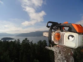 DSC01440 - Copy (2).webp