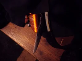 DSC00132 (640x480).webp