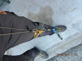 home made Haas 002.webp